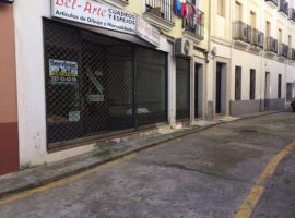 LOCAL A 20 M2 DE LA CALLE PEATONAL